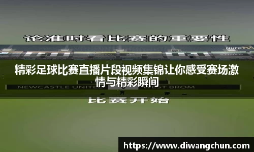 辉达娱乐官网
