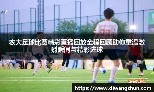 辉达娱乐