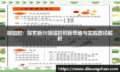 辉达娱乐