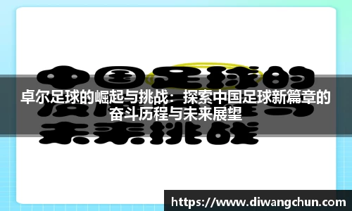 卓尔足球的崛起与挑战：探索中国足球新篇章的奋斗历程与未来展望