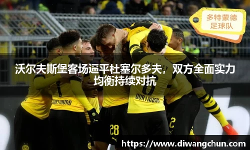 沃尔夫斯堡客场逼平杜塞尔多夫，双方全面实力均衡持续对抗